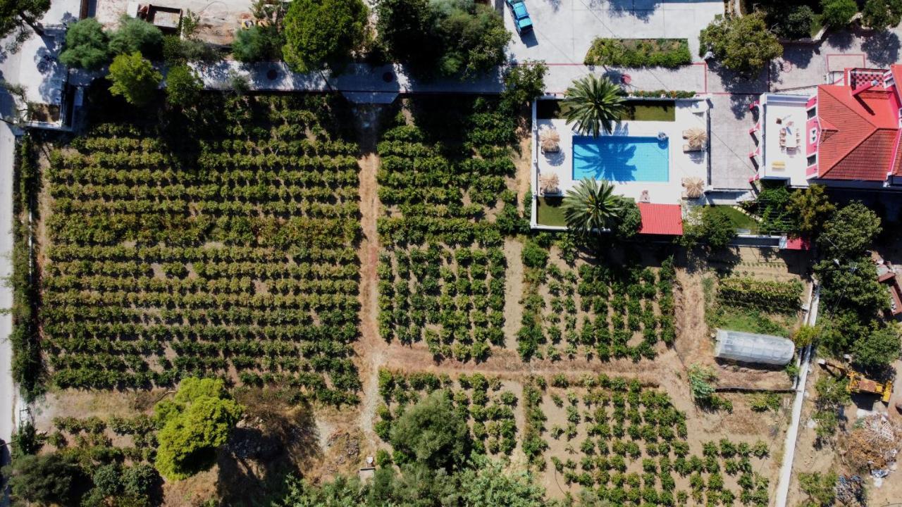 Zissis Villa & Pool 5Min Drive To Beach Kato Yerakarion Екстер'єр фото